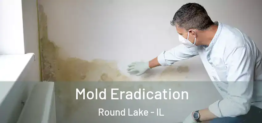  Mold Eradication Round Lake - IL