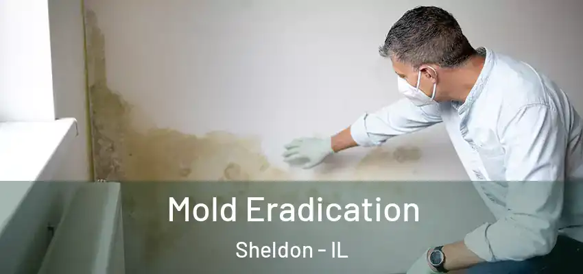  Mold Eradication Sheldon - IL