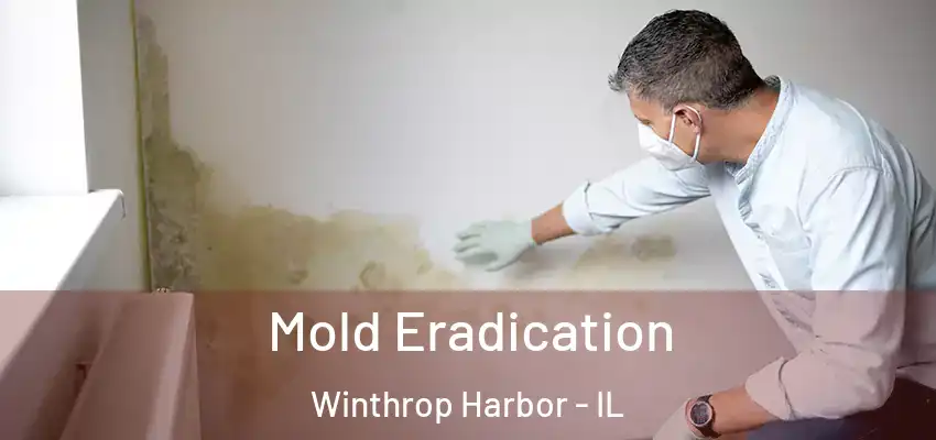  Mold Eradication Winthrop Harbor - IL