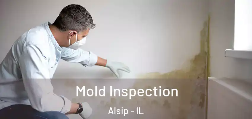  Mold Inspection Alsip - IL