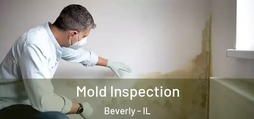  Mold Inspection Beverly - IL