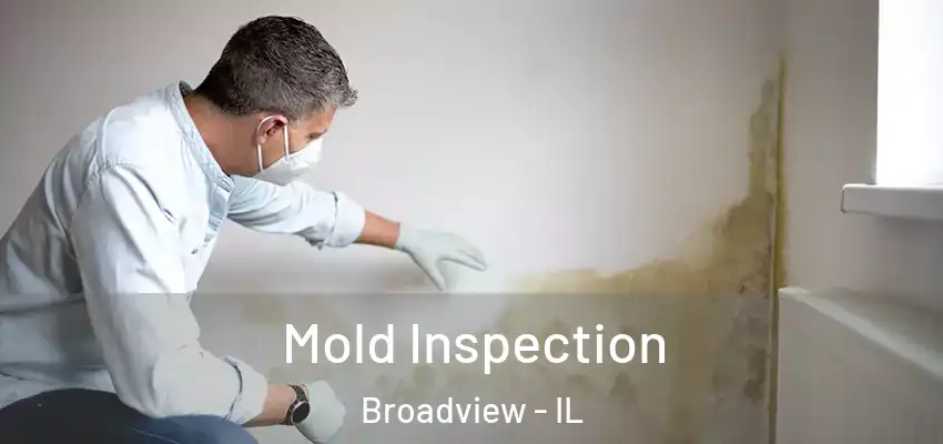  Mold Inspection Broadview - IL