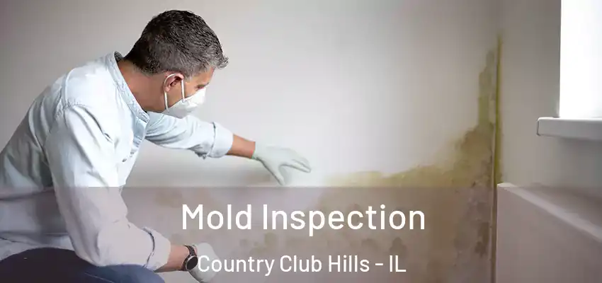 Mold Inspection Country Club Hills - IL