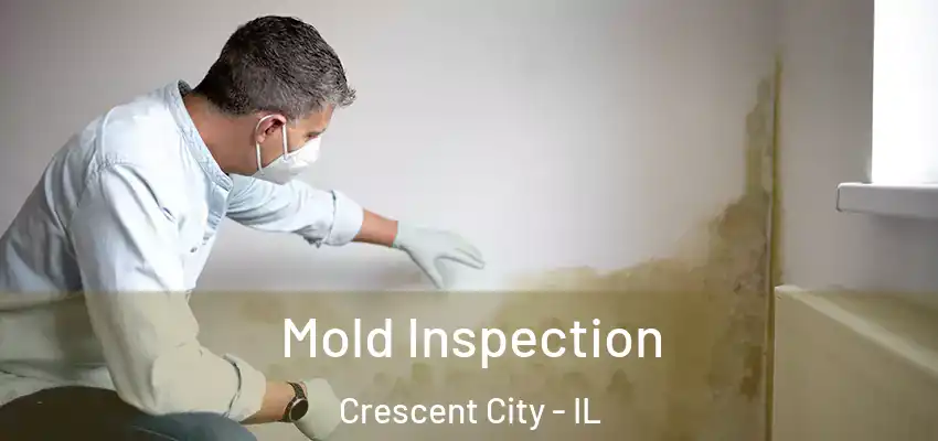  Mold Inspection Crescent City - IL