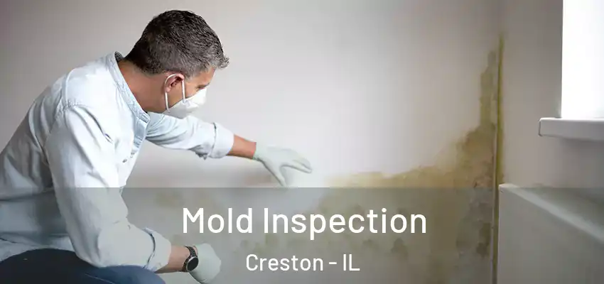  Mold Inspection Creston - IL