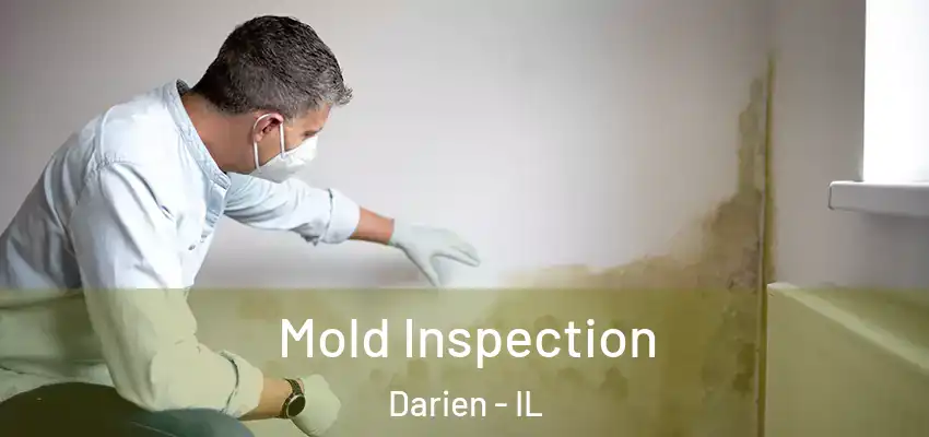  Mold Inspection Darien - IL