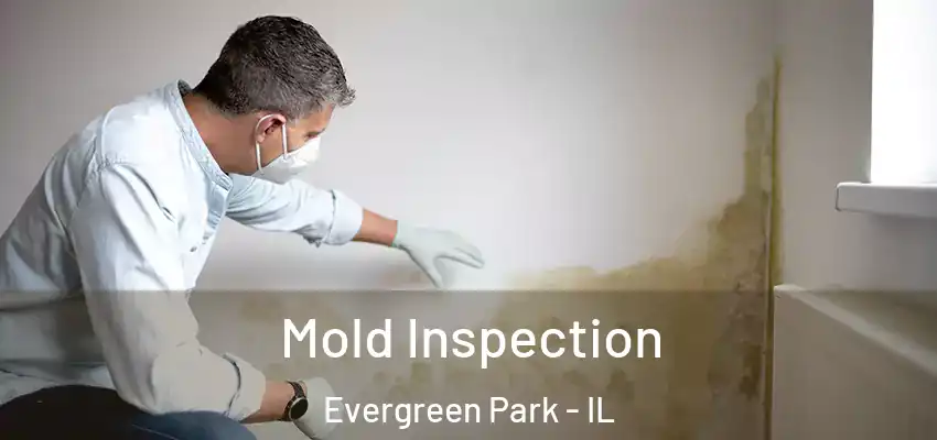  Mold Inspection Evergreen Park - IL