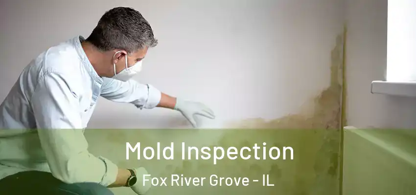  Mold Inspection Fox River Grove - IL