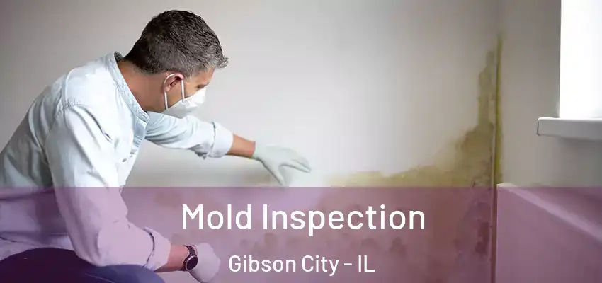  Mold Inspection Gibson City - IL