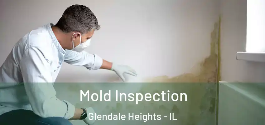  Mold Inspection Glendale Heights - IL