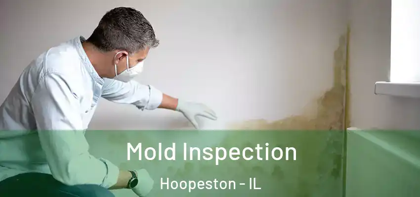  Mold Inspection Hoopeston - IL