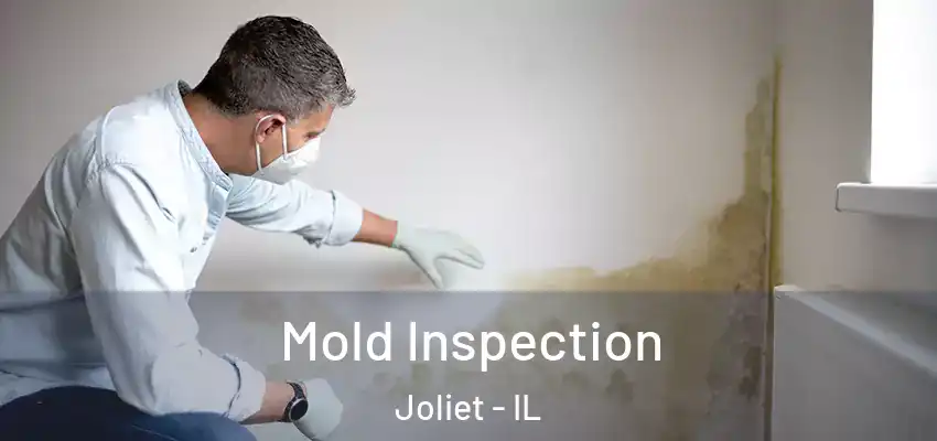  Mold Inspection Joliet - IL