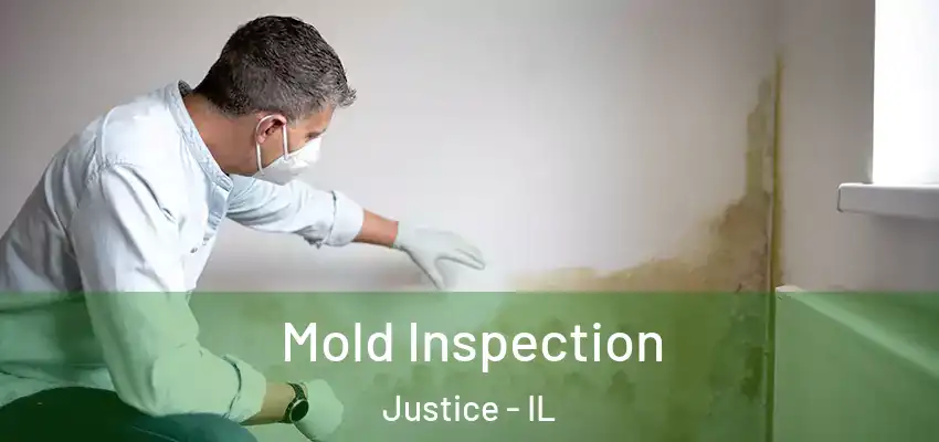  Mold Inspection Justice - IL