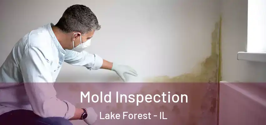  Mold Inspection Lake Forest - IL