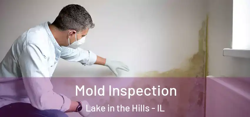 Mold Inspection Lake in the Hills - IL