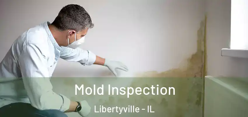  Mold Inspection Libertyville - IL