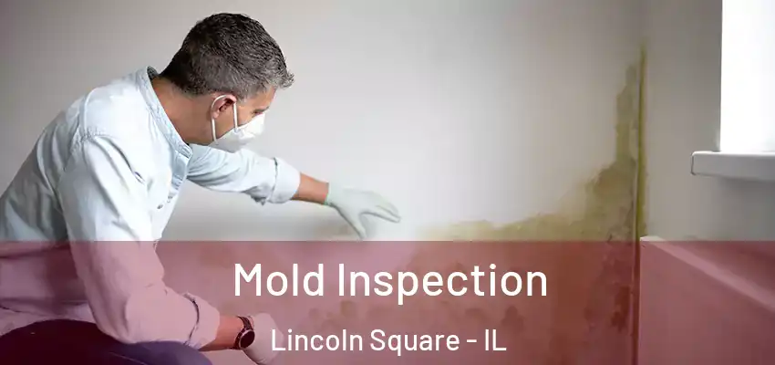  Mold Inspection Lincoln Square - IL