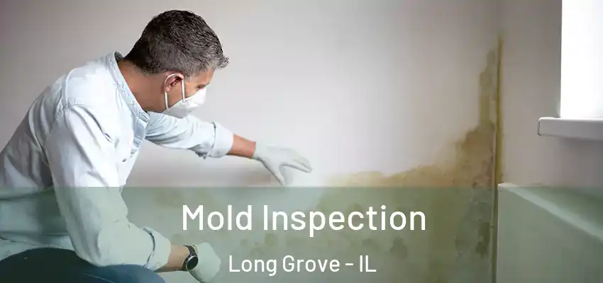  Mold Inspection Long Grove - IL