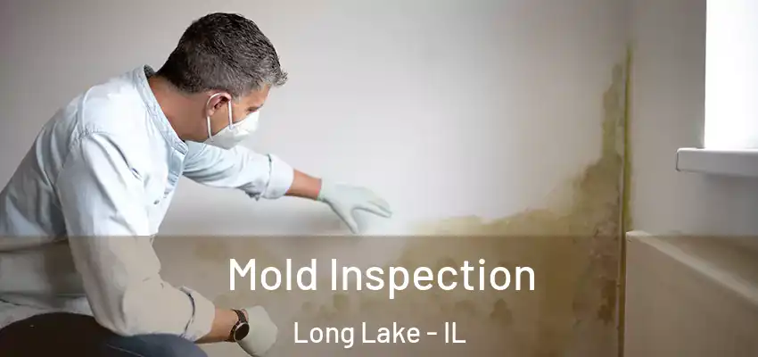  Mold Inspection Long Lake - IL