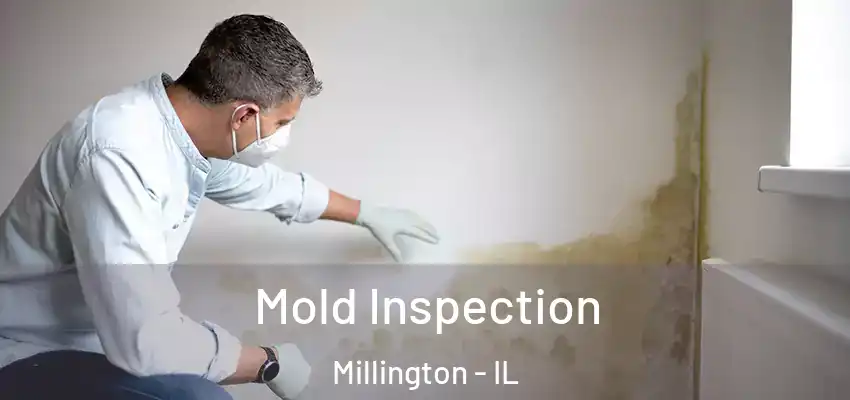  Mold Inspection Millington - IL