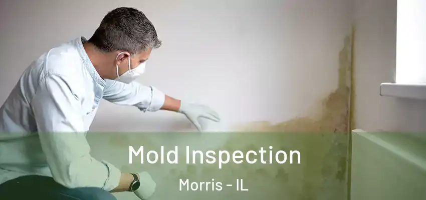  Mold Inspection Morris - IL