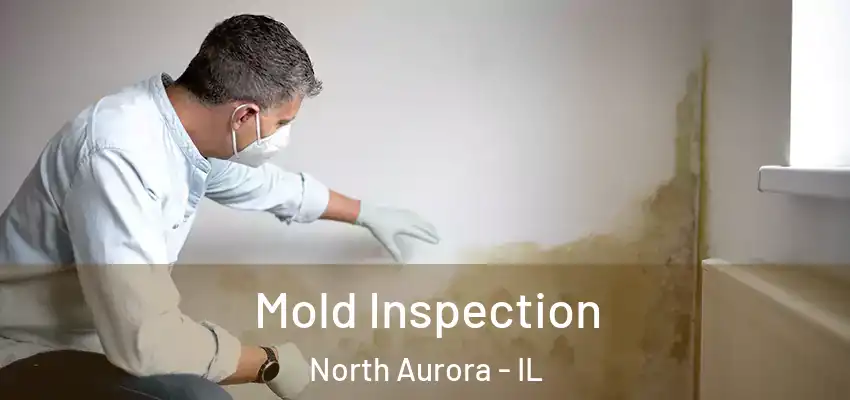  Mold Inspection North Aurora - IL