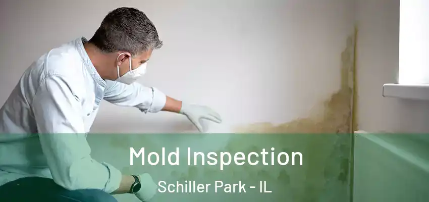  Mold Inspection Schiller Park - IL