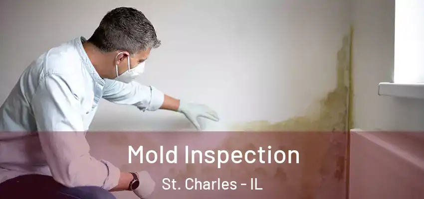  Mold Inspection St. Charles - IL