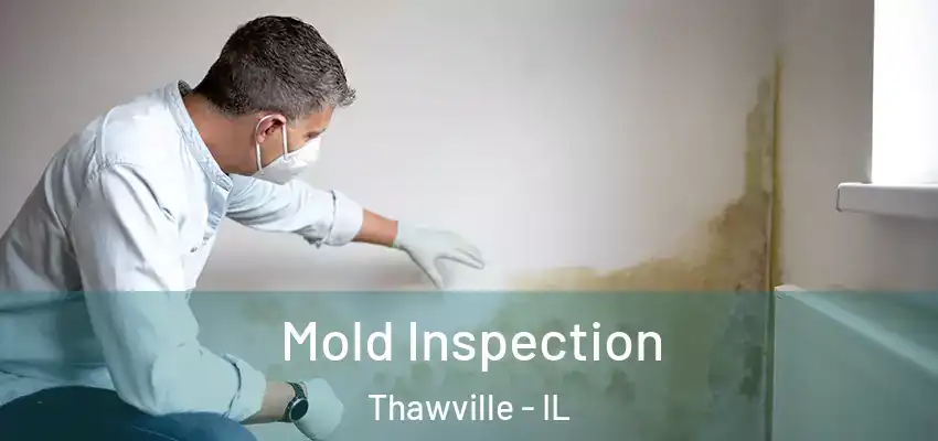  Mold Inspection Thawville - IL