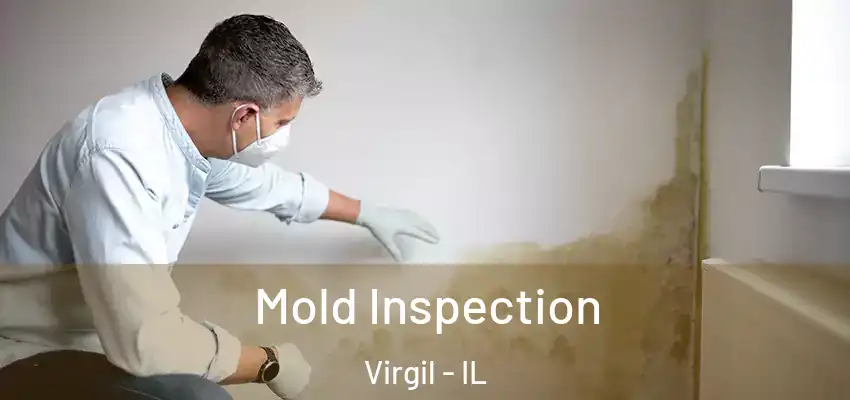  Mold Inspection Virgil - IL