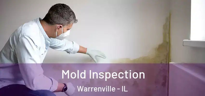  Mold Inspection Warrenville - IL
