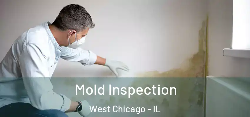 Mold Inspection West Chicago - IL