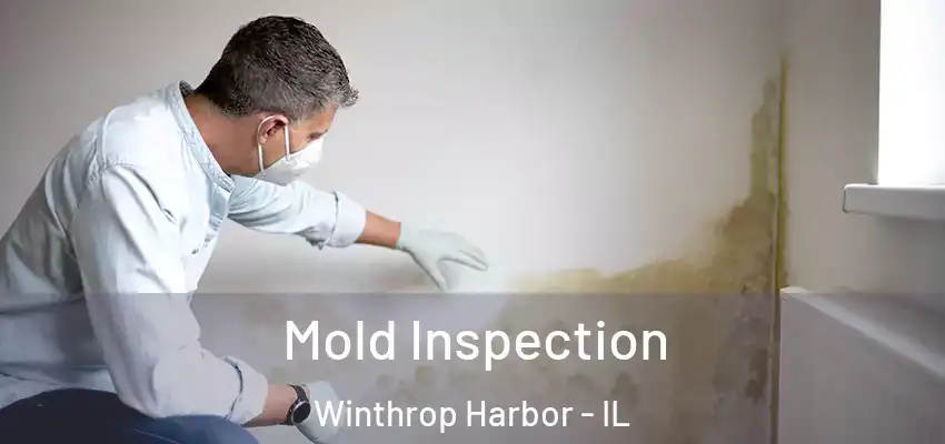  Mold Inspection Winthrop Harbor - IL