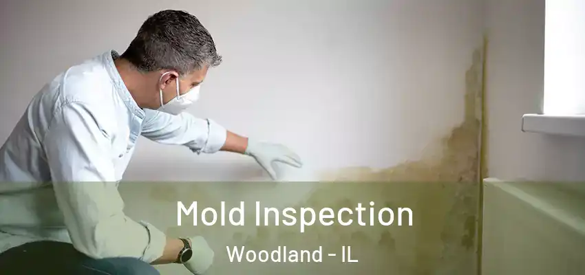  Mold Inspection Woodland - IL