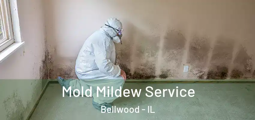  Mold Mildew Service Bellwood - IL