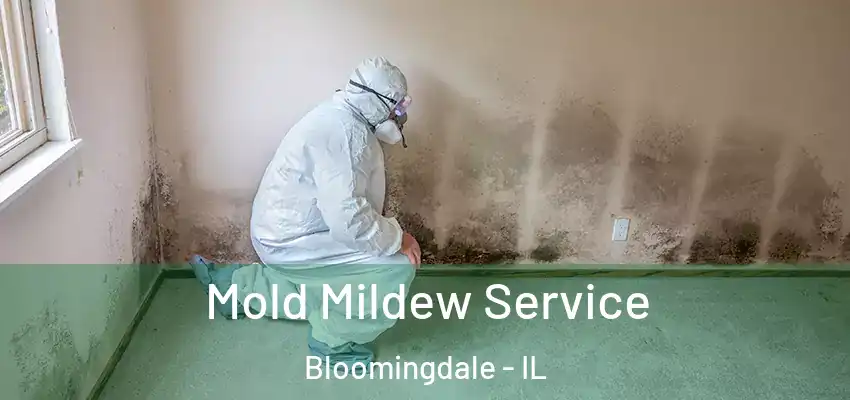 Mold Mildew Service Bloomingdale - IL