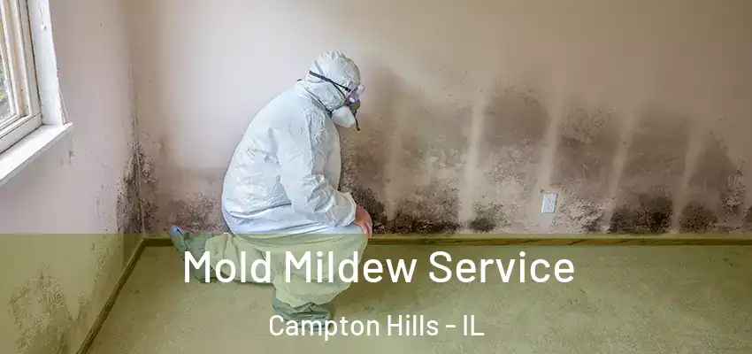 Mold Mildew Service Campton Hills - IL