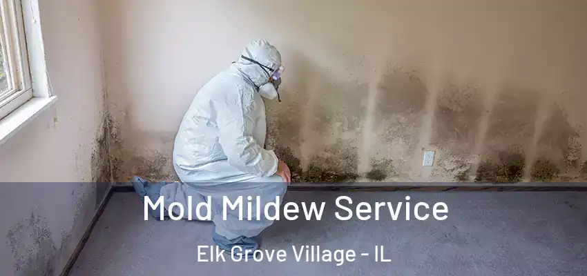  Mold Mildew Service Elk Grove Village - IL