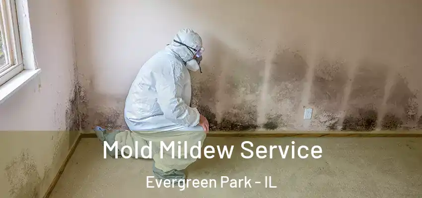  Mold Mildew Service Evergreen Park - IL