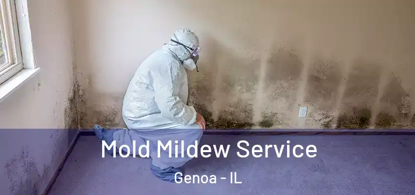  Mold Mildew Service Genoa - IL
