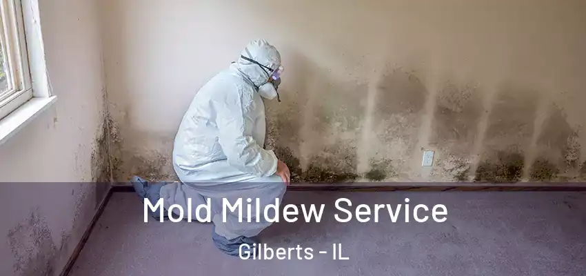  Mold Mildew Service Gilberts - IL