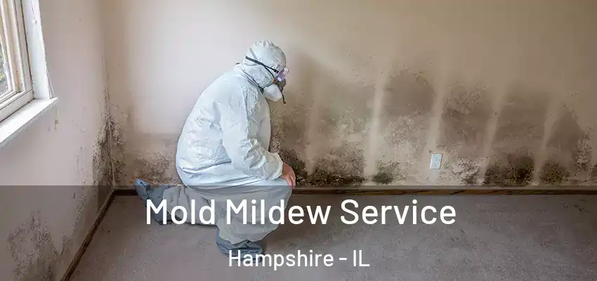  Mold Mildew Service Hampshire - IL