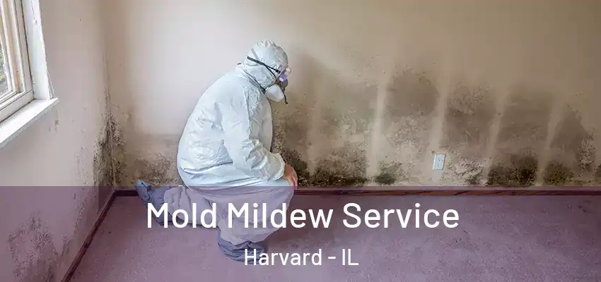  Mold Mildew Service Harvard - IL