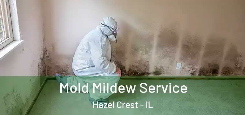 Mold Mildew Service Hazel Crest - IL