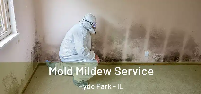  Mold Mildew Service Hyde Park - IL