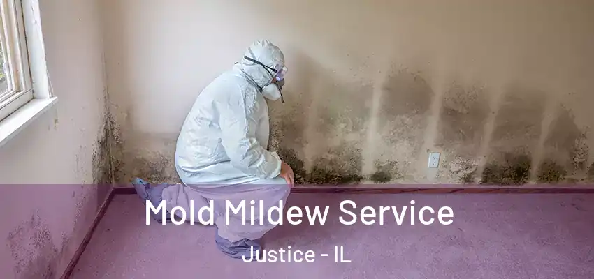  Mold Mildew Service Justice - IL