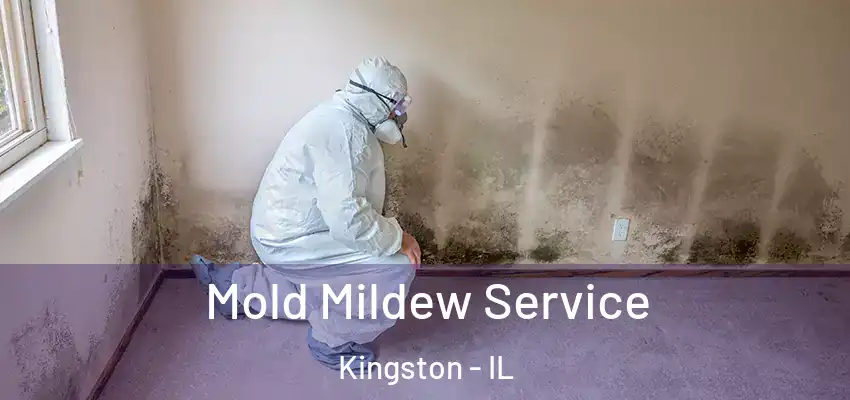  Mold Mildew Service Kingston - IL