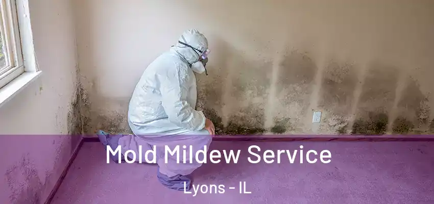  Mold Mildew Service Lyons - IL