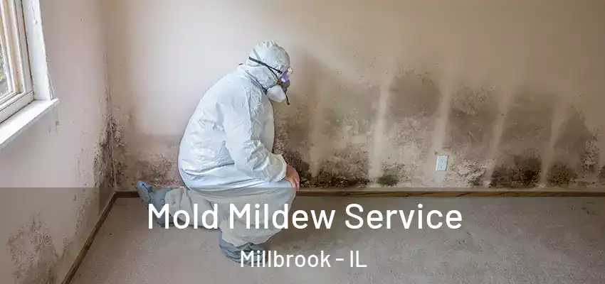  Mold Mildew Service Millbrook - IL