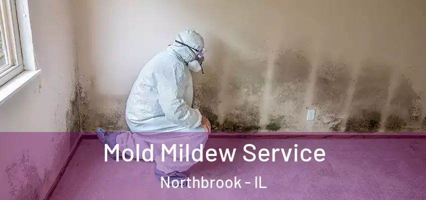  Mold Mildew Service Northbrook - IL